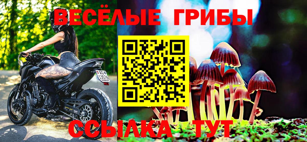 Псилоцибиновые грибы Psilocybe Советск